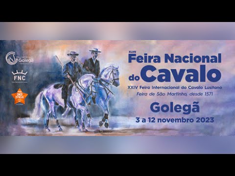 FNC Arneiro 231103 todo o dia  - All day