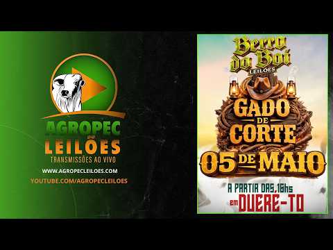 Agropecleiloes LEILÃO GADO DE CORTE | BERRO DO BOI LEILÕES - DUERÉ -TO - 05/05/2026.