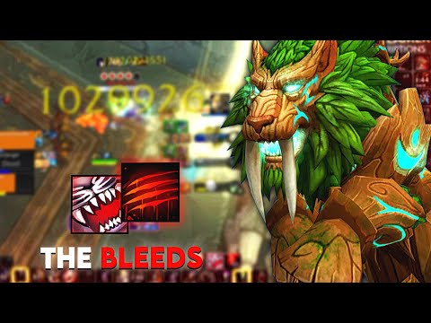 Feral Druid is CLUTCH in The War Within (2v3 & 1v2's)