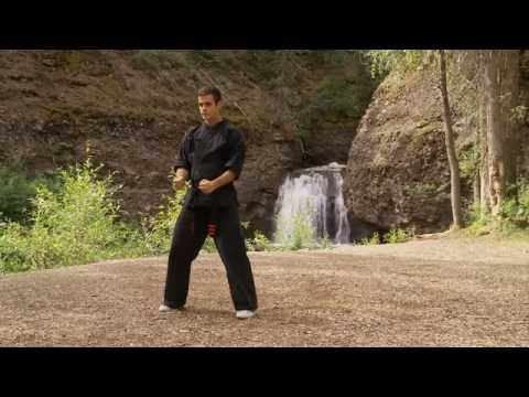 Kenpo Karate - Short Form 1