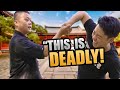 Shaolin Long Fist With Chin Na Is TERRIFYING