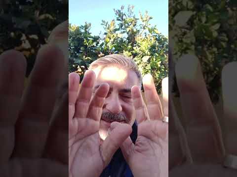 Evangelio del Nuestro Señor Jesucristo Con el Padre Fabian Esteban Oliva. Segunda parte 30/04/26