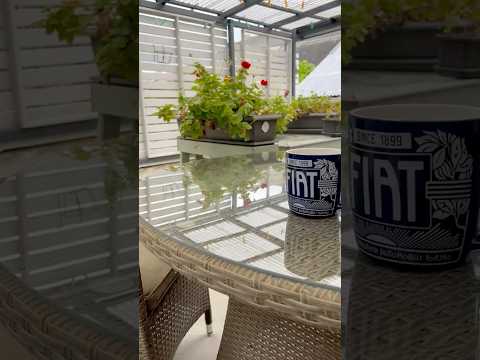 Tea On The Fragrant (???) Terrace In France - SHORT  #france #brittany   #avillagelifeinfrance