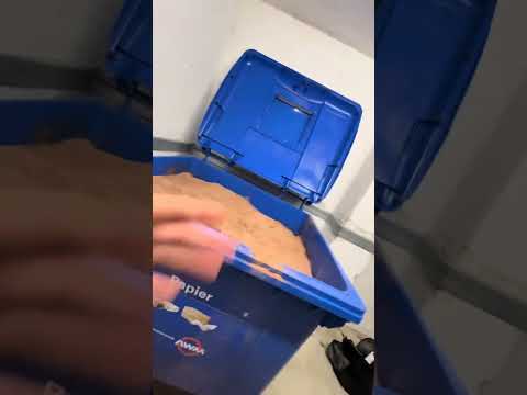 Maneti und leckmidov #embo #tiramisu