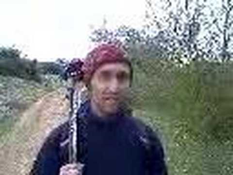 Enrico Brizzi risponde ai modesti