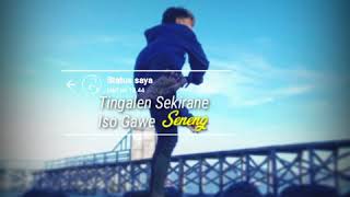 Download lagu Story wa Tingalen lagu Mawar Ilang (By:Alfino) mp3