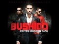 Bushido - 23 Stunden Zelle 