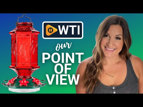 Hummingbird Feeder for Outdoors - WTI product video review