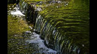 Download lagu river water sound effect no copyright mp3