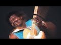Albert Collins-I Got a Problem