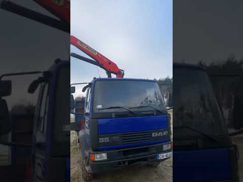 DAF 55.210 PALFINGER
