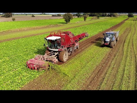 Holmer Light Traxx exxact Beet Harvester