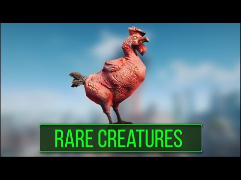 Fallout 4: 5 Rare and Interesting Creature Types You May Have Missed - Fallout 4 Secrets (Part 4)