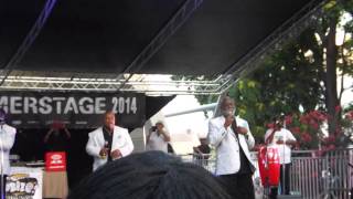 My Love is Free - Double Exposure SummerStage 2014 Live