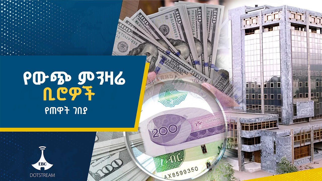 የሮሃ ፎሬክስ የሥራ እንቅስቃሴ ETV | EBC | EBCDOTSTREAM