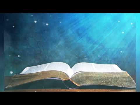 🔴DIA 175 / de 365 días leyendo la Biblia, con Fray Nelson Medina