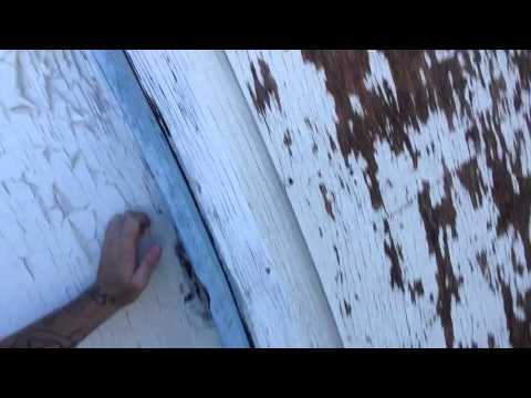 Adam the Woo hates snakes!