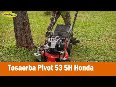 Miniatura Video