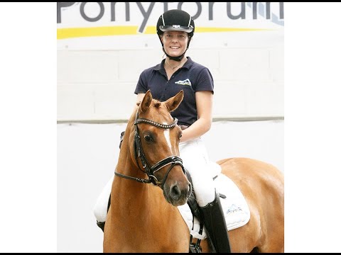 WASTEINS DIE KLEINE LINA 4j. Stute v. Darubi Gold