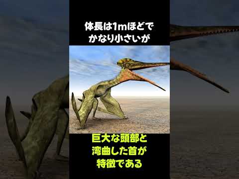 Mantidactylus puttulatus、この属の典型種。