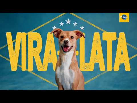 Pedigree: Vira-Lata