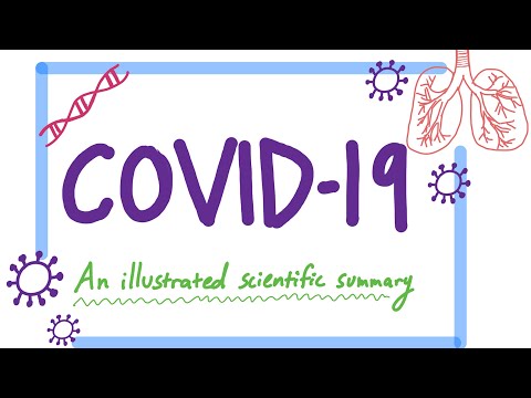 Covid-19。  図解された科学的要約 (Covid-19:  An Illustrated Scientific Summary)