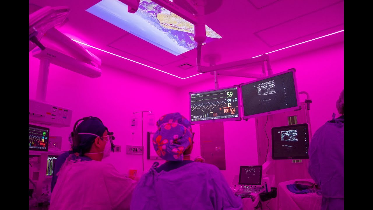 Mishell Eduardo Santander Becerra-25