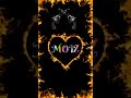Moiz Name Status Mastizada Tv