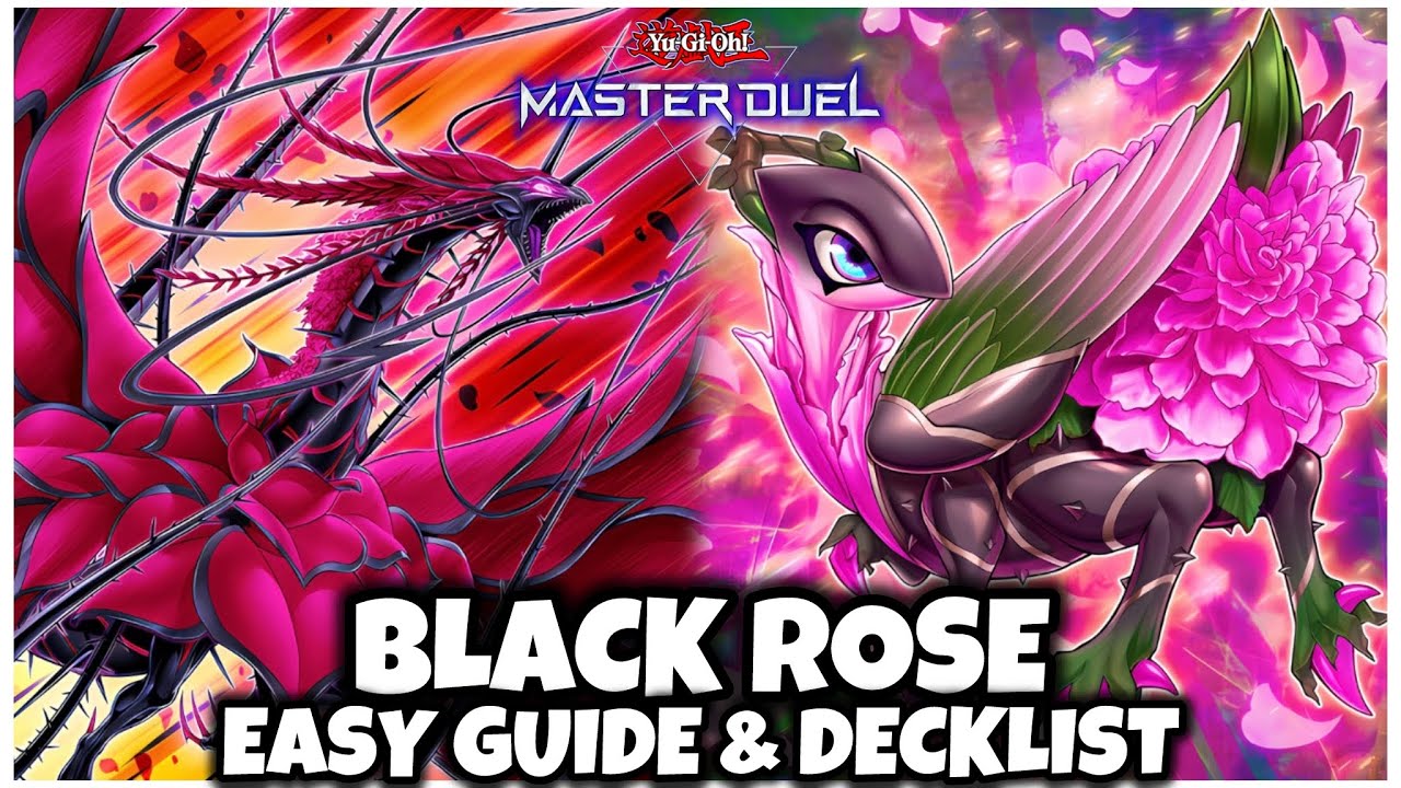 UPDATED | BLACK ROSE | EASY GUIDE & DECKLIST!