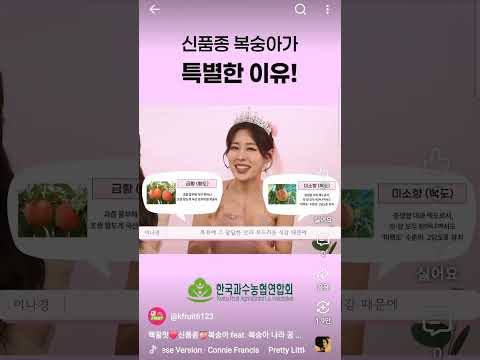 비디오 14
