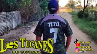 Los Tucanes De Tijuana - Alfredito Beltran ( Fp del Mochomo 2008)