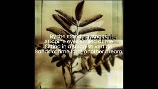 Amorphis - Summer's End (lyrics)