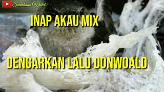 Download lagu INAP AKAU MIX INAP BHAYANGKARI mp3 Download lagu INAP AKAU MIX INAP BHAYANGKARI mp3