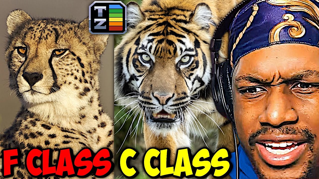 Big Cats' True Rankings Are Not What I Expected