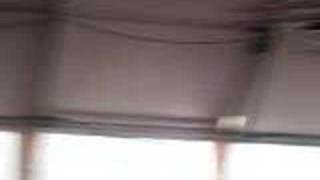 Yann Tiersen playing Amelie at Benicassim 2006