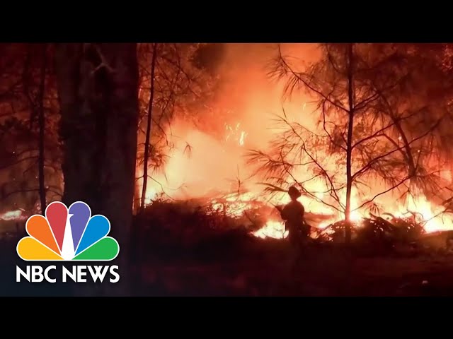 California Wildfires: Sequoias Burn As State Grapples With Multiple Blazes