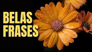 BELAS FRASES para status
