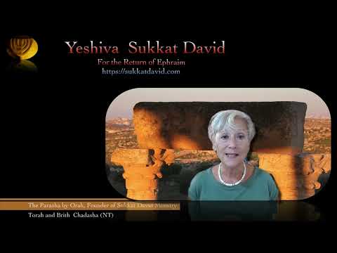 Insights on the Parasha Nitzavim- When Messiah returns from exile with His people