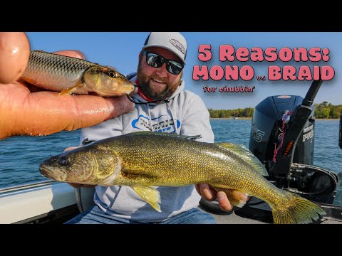 Mono vs braid: Rigging BIG chubs for fall walleyes