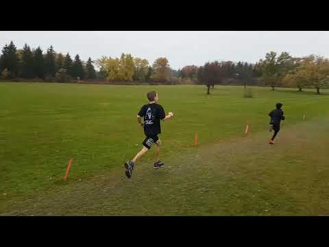 Wayback Playback: YRDCSB 2019 Cross Country Race