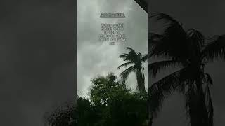 Download lagu STATUS WA TERBARU | STORY WA SAD | STORY WA SENJA | BUKAN ANAK SENJA #shorts mp3