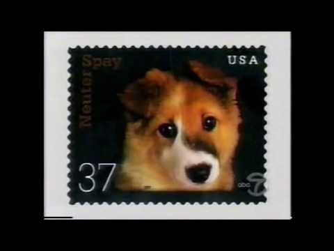 Jeopardy! Final Jeopardy (09-09-2003)