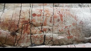 Amazon Rainforest Reveals Ice Age Rock Art