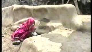 We are the Shepherds-by ActionAid Pakistan-part 2.DAT