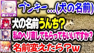 ばんちょーの愛犬が倒れてシリアスな雰囲気になりそうになるも、空気をブチ壊す救急隊【ホロライブ切り抜き/轟はじめ/一条莉々華/一伊那尓栖/IRyS/ReGLOSS/DEV_IS】#hologta切り抜き
