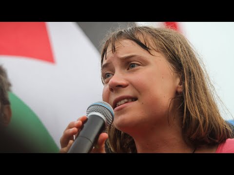 ‘Second flotilla flop’: Israel has ‘done everyone a favour’ by detaining Greta Thunberg