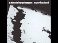 A Place to Bury Strangers - Exploding Head