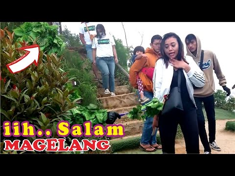 bushman-prank-epic-moment-laugh-at-silancur-highland-prank-manusia-pohon