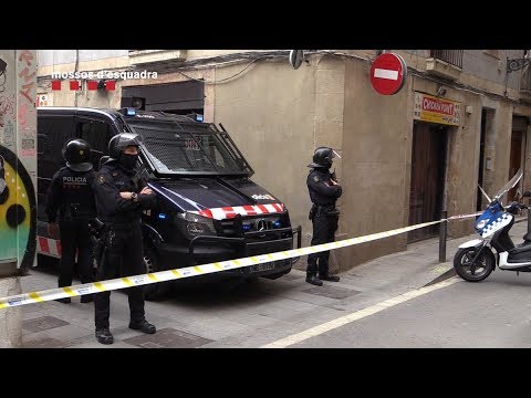 Un macrodispositiu policial contra una organització dedicada al narcotràfic acaba amb 54 detinguts