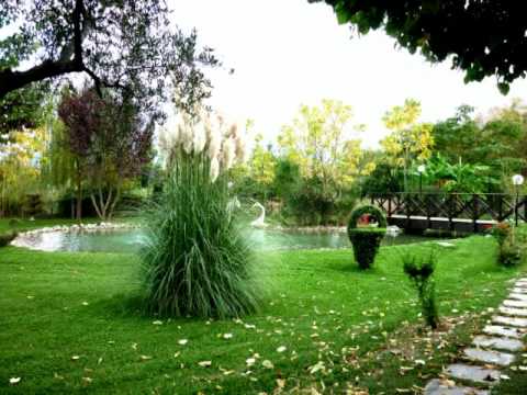 Ristorante La magnolia.avi